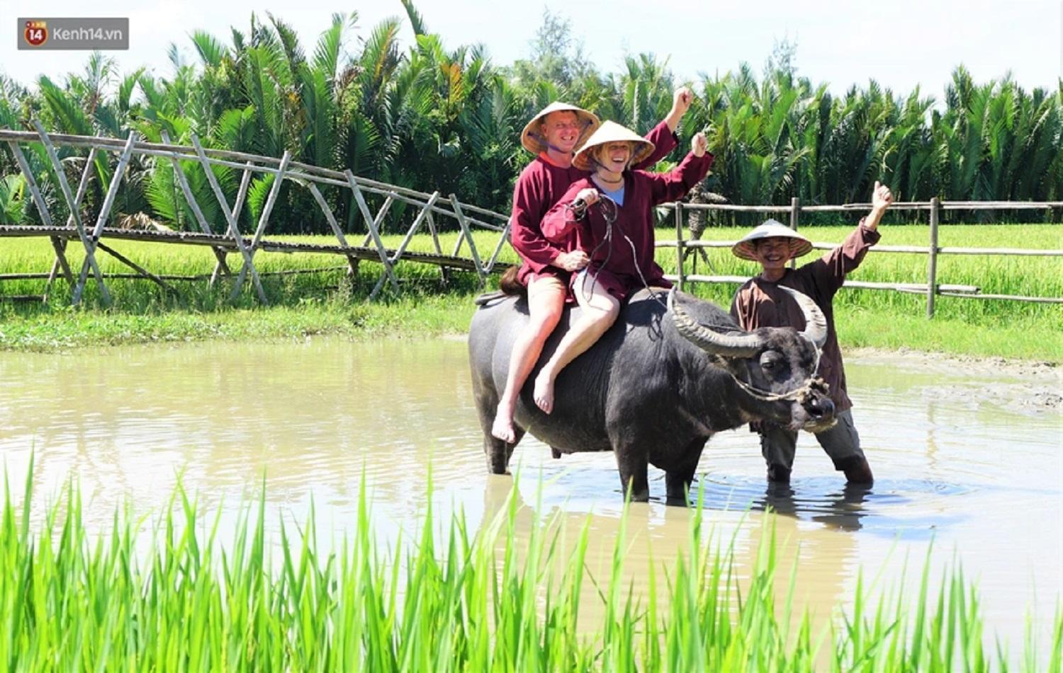 Tam Coc Sunshine Hostel Vu Lam Zewnętrze zdjęcie
